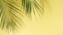 Closeup The Motion Of Tropical Palm Leaves And Shadow On Yellow Wall Background With Copy Space.