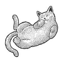 Cute Cat Sleeping On His Back Sketch Engraving Vector Illustration. T-shirt Apparel Print Design. Scratch Board Imitation. Black And White Hand Drawn Image.