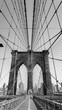 Brooklyn Bridge View do Suspension Cables