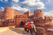 Agra Fort and elephants, view of India