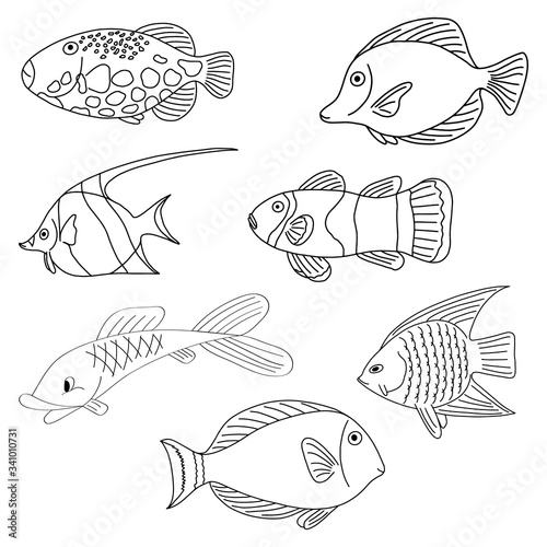 Download Set Of Fish From The Sea Or River Coloring Pages For Adults Or Children Black And White Image A Book For Coloring Doodles Vector Illustration Stock Vector Adobe Stock