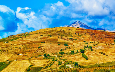 Sticker - Landscape in Segesta on Sicily Europe reflex