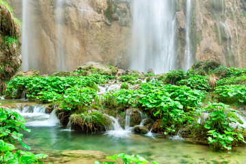 Wall Mural - lush plants in wetlands near a waterfall