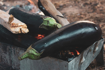 Whole aubergines are baked on open fire