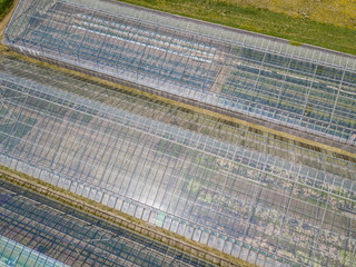 Sticker - Aerial view of transparent greenhouse for vegetable cultivation. Farming with horticulture.