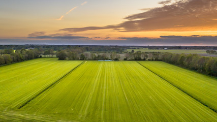 Wall Mural - Aerial view of agricultural meadow landscape