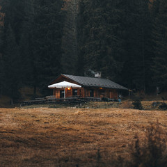 Wall Mural - house in a remote area by the forest