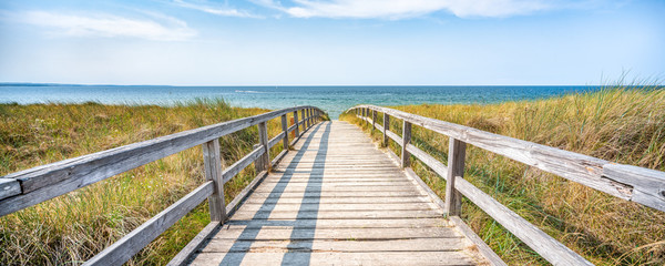 Wall Mural - panoramic view of a dune beach, schleswig-holstein, germany
