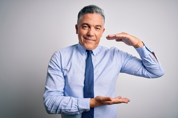 Poster - Middle age handsome grey-haired business man wearing elegant shirt and tie gesturing with hands showing big and large size sign, measure symbol. Smiling looking at the camera. Measuring concept.