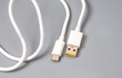 © gorvik - White cable with Type-C interface and USB