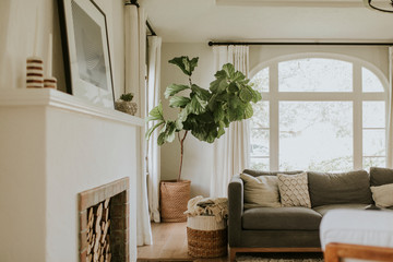 cozy home living room