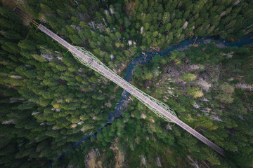 Wall Mural - landscape photo with bridge and forest