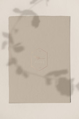 Wall Mural - floral brown paper