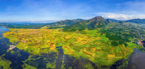 Wall Mural - Aerial view of Ngo Son rice field, Gia Lai, Vietnam. Royalty high-quality free stock Panorama image landscape of terrace rice fields in Vietnam