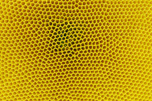 Full Frame Shot Of Abstract Yellow Pattern