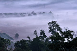 Fototapeta Na ścianę - Sunrise mist mountain Phu Lanka Forest Park, Pong District, Phayao Province; Thailand