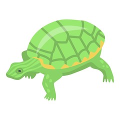 Wall Mural - Green turtle icon. Isometric of green turtle vector icon for web design isolated on white background