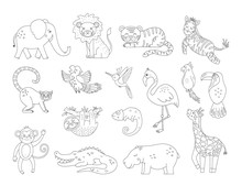 Vector Cute Exotic Animals And Birds Outlines. Funny Tropical Black And White Illustration. Jungle Summer Sketch.