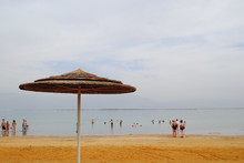 Dead Sea Swimmers