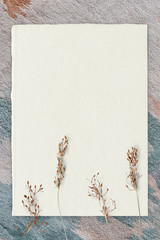 Wall Mural - Empty paper with dried flower mockup