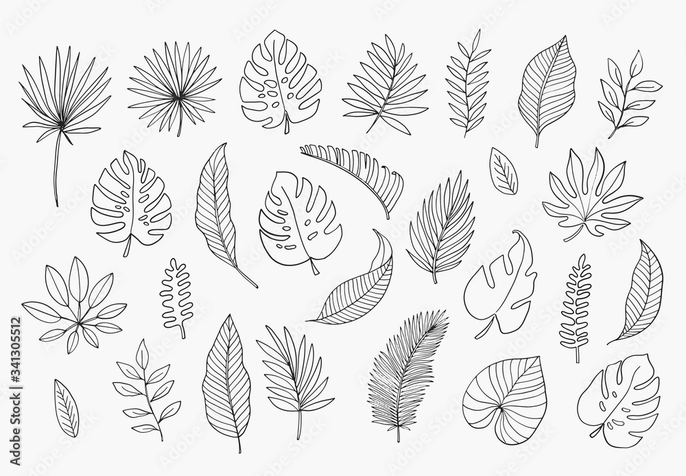 Tropical Leaves in doodle style. Vector hand drawn black line design elements. Exotic summer botanical illustrations. Monstera leaves, palm, banana leaf. - obrazy, fototapety, plakaty 