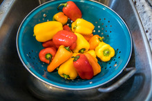 A Bright Teal-colored Colander Full Of Vibrant Color Organic Baby Bell Peppers That Have Just Been Washed. Raw Vegetables Perfect For A Salad.