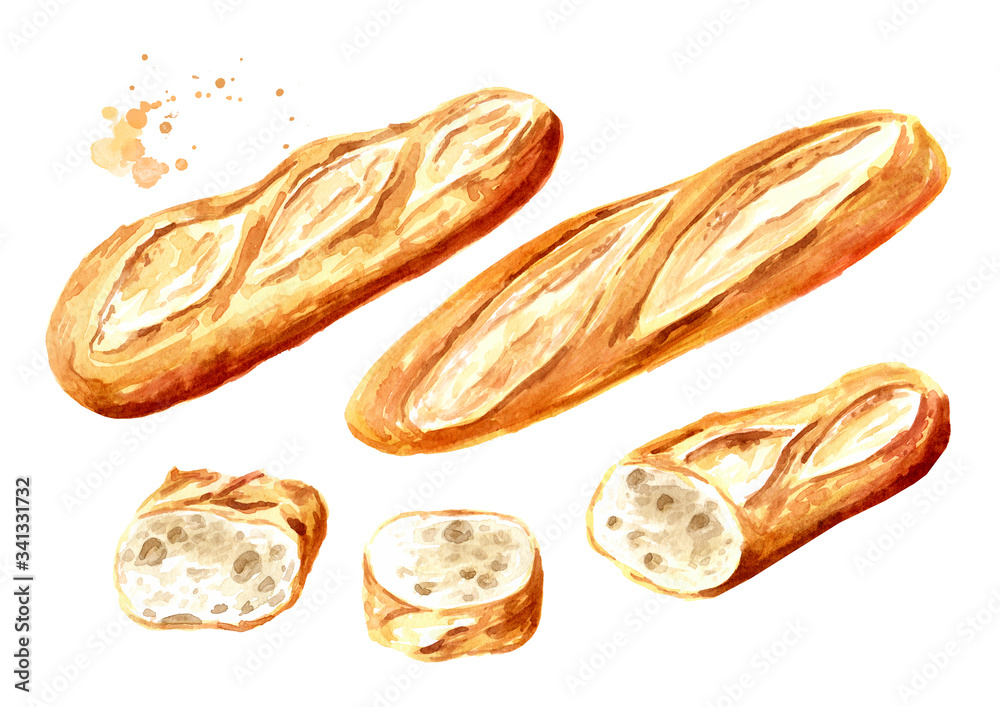 Fresh Baguette whole and cut in half, French bread set. Hand drawn ...