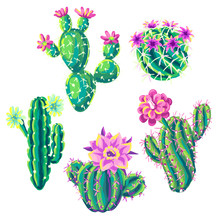 Set Of With Cacti And Flowers.