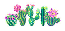 Background With Cacti And Flowers.