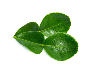 Green leaf, Bergamot leaf isolated on white background