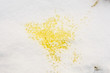 Yellow urine on snow