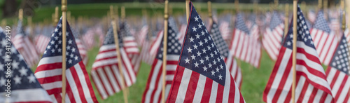 Cuadros en Lienzo Panoramic row of lawn American flags display on green grass on Memorial Day in D