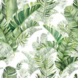 Pattern with beautiful watercolor tropical leaves. Tropics. Realistic tropical leaves.