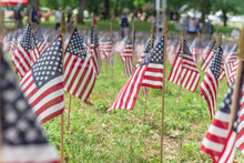 American Flags On Grass Lawn And Blurry People Background On Memorial Day Celebration