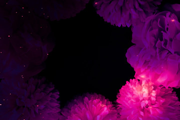 Wall Mural - Beautiful abstract color blue and purple flowers on black background and pink graphic pink flower frame and pink leaves texture, purple background, colorful graphics banner, pink background 