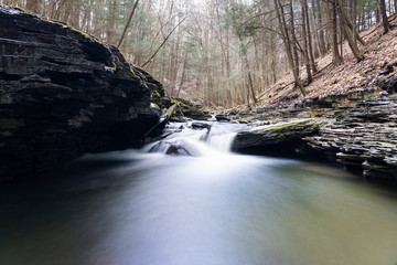 Wall Mural - water flowing in stream