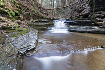 Wall Mural - water flowing in stream