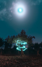 Light Painting On Tree Against Sky At Night