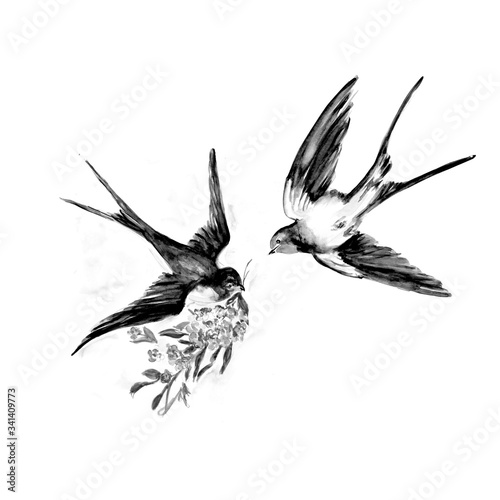 Watercolor Painting Of Swallow Bird Sketch Art Illustration Stock イラスト Adobe Stock Watercolor Painting Of Swallow Bird Sketch Art Illustration Stock イラスト Adobe Stock