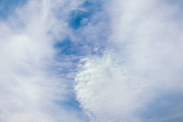 Wall Mural - Blue sky with cirro cumulus white clouds. Sky background