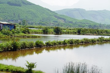 Wall Mural - lovely landscape in the bach ma national park