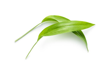 Green wild garlic leaves.