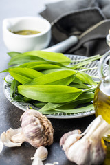 Sticker - Green wild garlic leaves and garlic bulb. Ramsons leaves