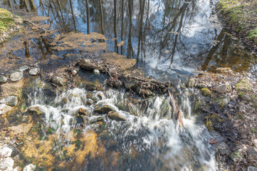 Wall Mural - river in the forest