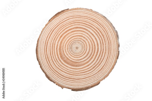 Wooden tree cut surface isolated on white Tableau sur Toile