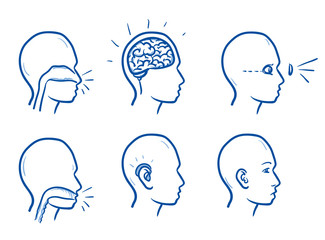 Wall Mural - Set of several icons of the human head with different focuses on disorders, for medical info graphics. Hand drawn line art cartoon vector illustration.