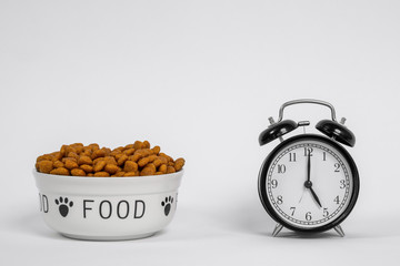 A bowl of processed dog food with paws and inscription FOOD on its sides, next to the alarm clock with hands set to five-o-clock time. Lunch or other pet meal memorizing.