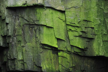 The texture of basalt rocks on the island of Svalbard.