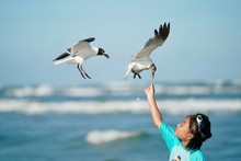 Girl Feeding Seagulls At Beach Against Sky