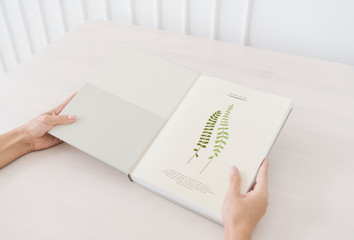 Wall Mural - Woman reading a botanical book mockup